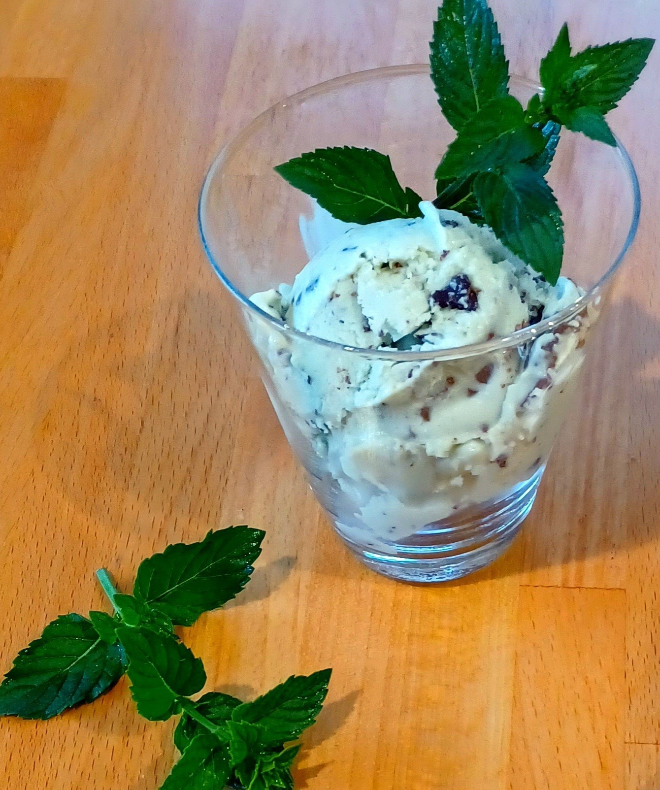 mint-chocolate-chip-ice-cream-gourmet-protein-ice-cream